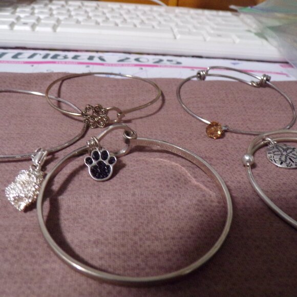 charm bracelets - Picture 1 of 2